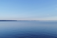 IMG-20210628-WA0002