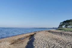 IMG-20210628-WA0008