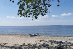 IMG-20210628-WA0019