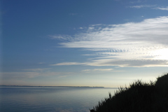 P1000397