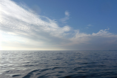 P1000406
