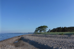 P1000414