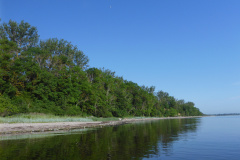 P1000447