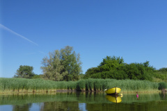 P1000454