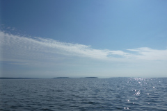 P1000459