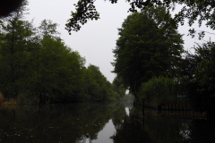 P1000720