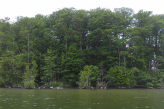 P1000733