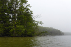 P1000734