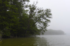P1000736