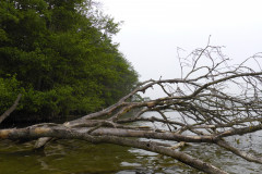 P1000737