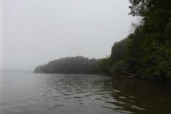 P1000739
