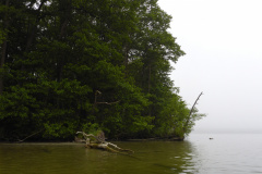 P1000740