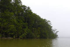 P1000741