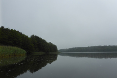P1000749