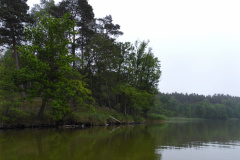 P1000751