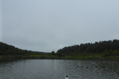 P1000754