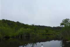 P1000757