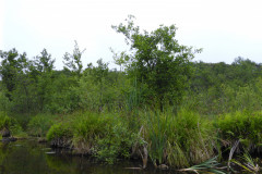 P1000758