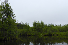 P1000760