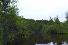 P1000761
