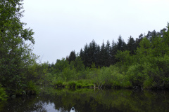 P1000762