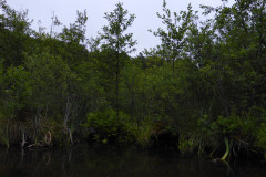 P1000763