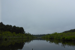 P1000766