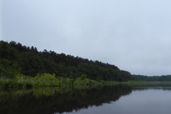 P1000767