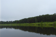 P1000769