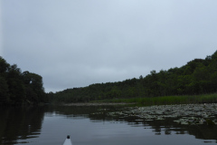 P1000771