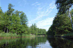 P1000774