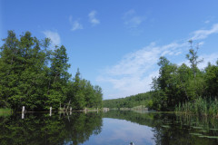 P1000776