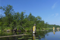 P1000786