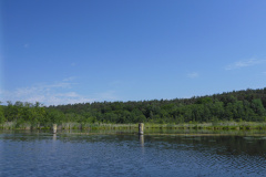 P1000791