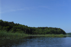 P1000795