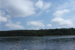 P1000805