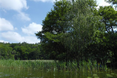 P1000821