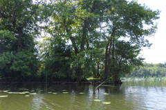 P1000823