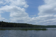 P1000827