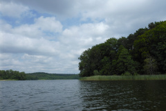 P1000828