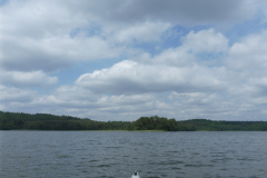 P1000829