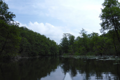 P1000837