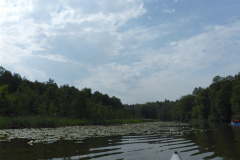P1000858