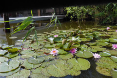 P1000863