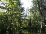 Schwaanhavel 100_0051