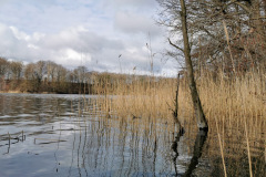 IMG-20210319-WA0002