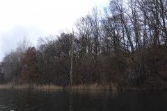 P1000149