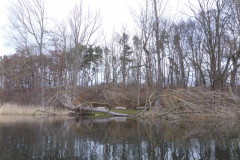 P1000154