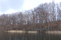 P1000155