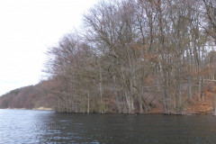 P1000159